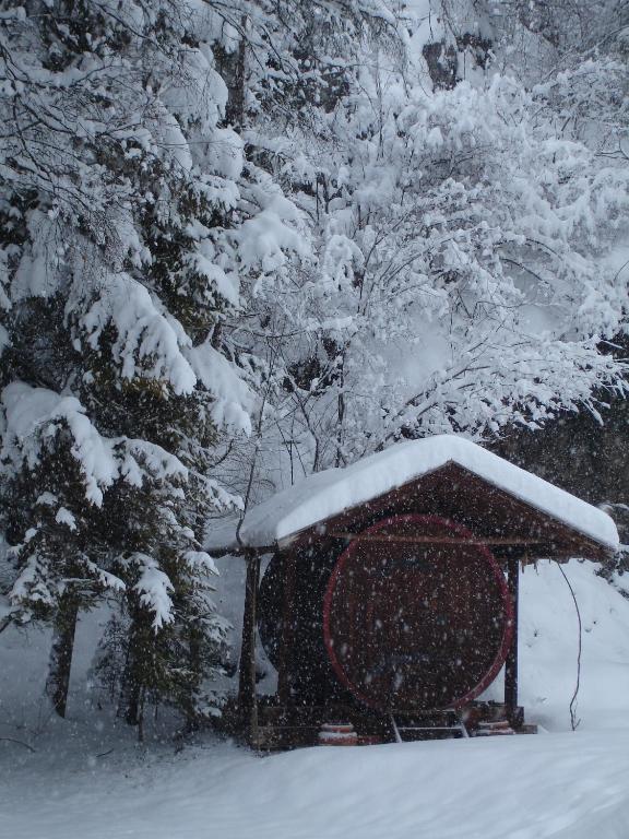Gasthof Schaber Pettnau ภายนอก รูปภาพ